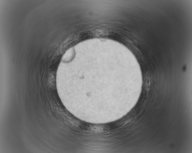 X0000115210523200912091200