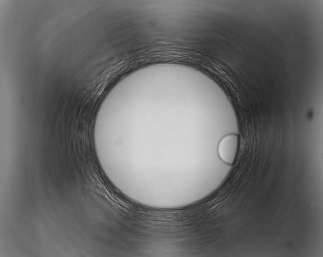 X0000115210524200912091200