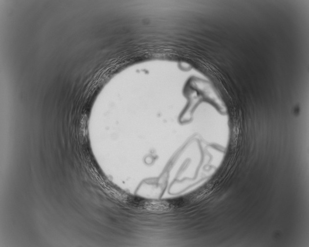 X0000115210525200912091200