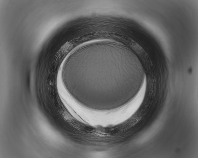 X0000115210526200912091200