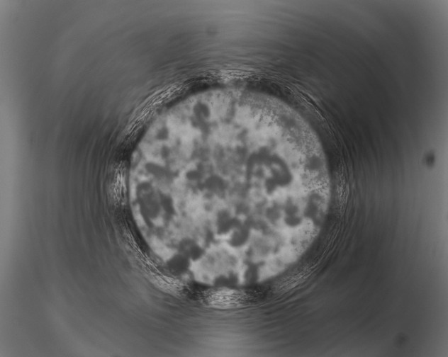 X0000115210527200912091200