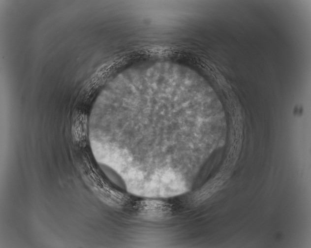 X0000115210528200912091200