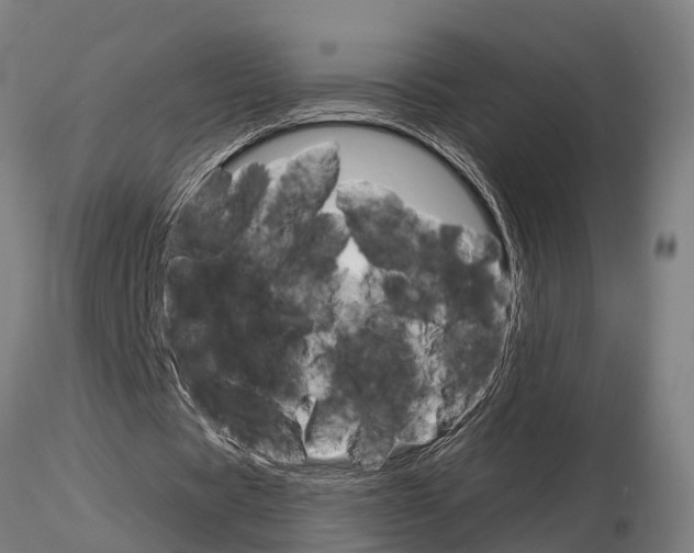 X0000115210529200912091200