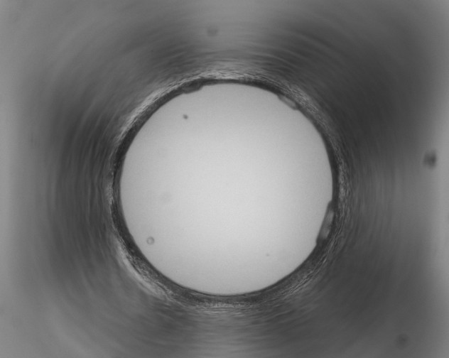 X0000115210530200912091200