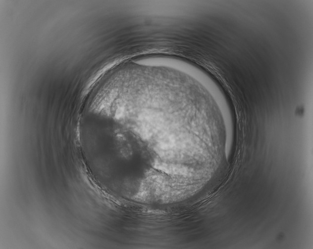 X0000115210531200912091200