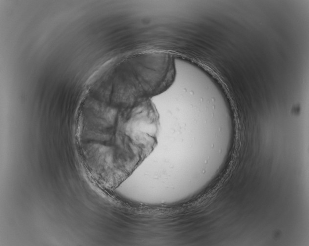 X0000115210533200912091200