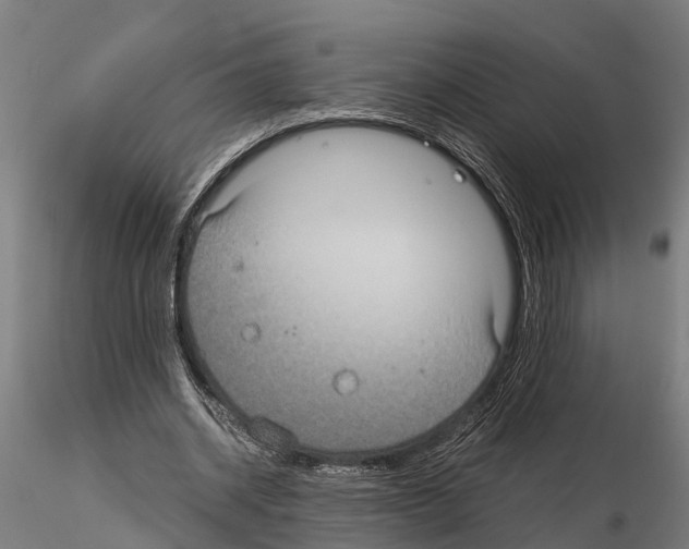 X0000115210534200912091200