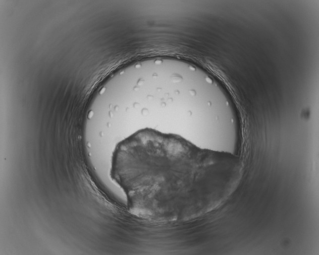 X0000115210537200912091200