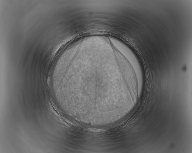 X0000115210539200912091200