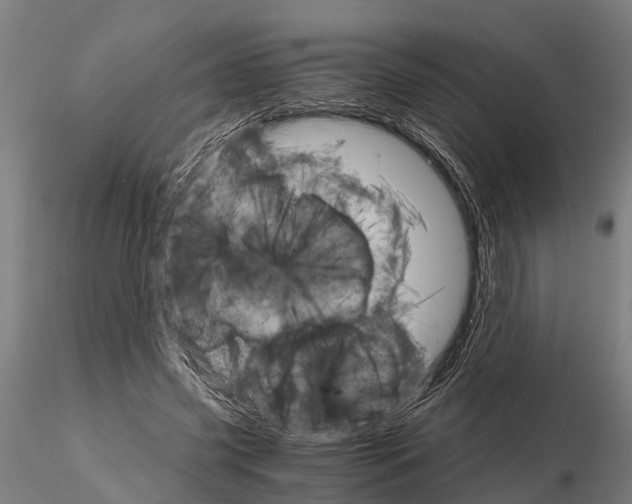 X0000115210541200912091200