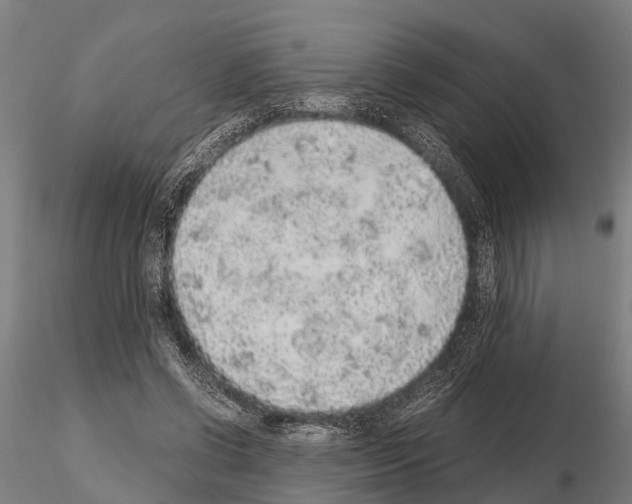 X0000115210542200912091200