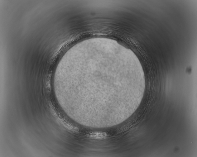 X0000115210543200912091200