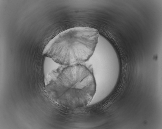 X0000115210545200912091200