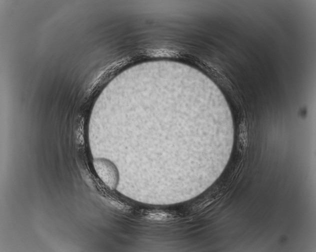 X0000115210547200912091200