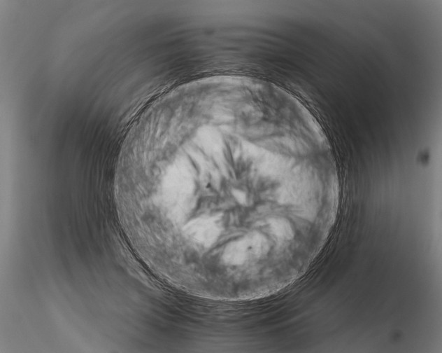 X0000115210549200912091200