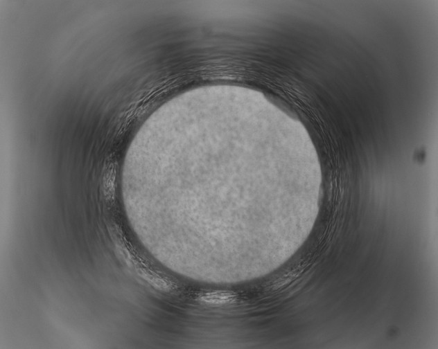 X0000115210551200912091200