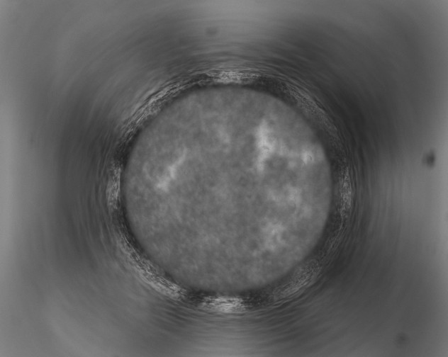 X0000115210554200912091200