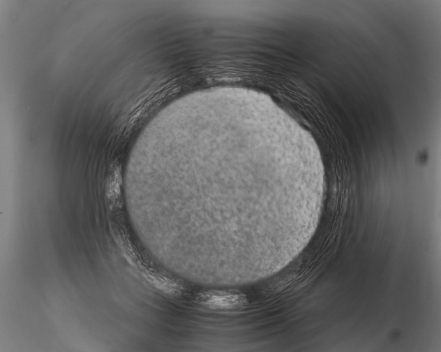 X0000115210555200912091200