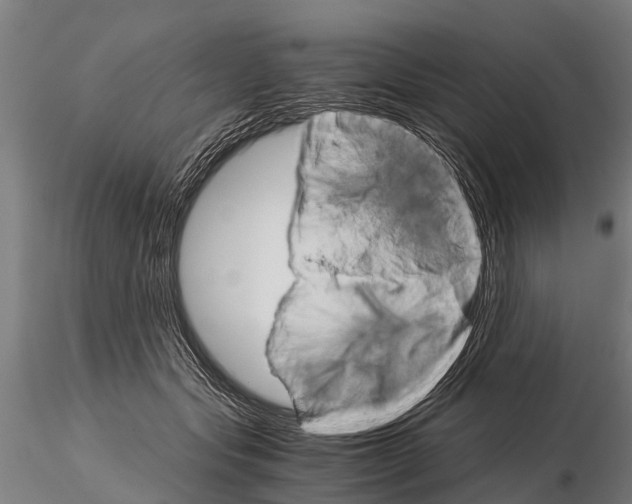 X0000115210557200912091200