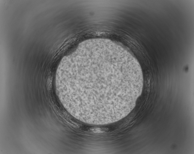 X0000115210558200912091200