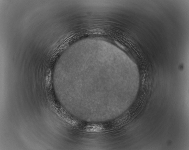 X0000115210559200912091200