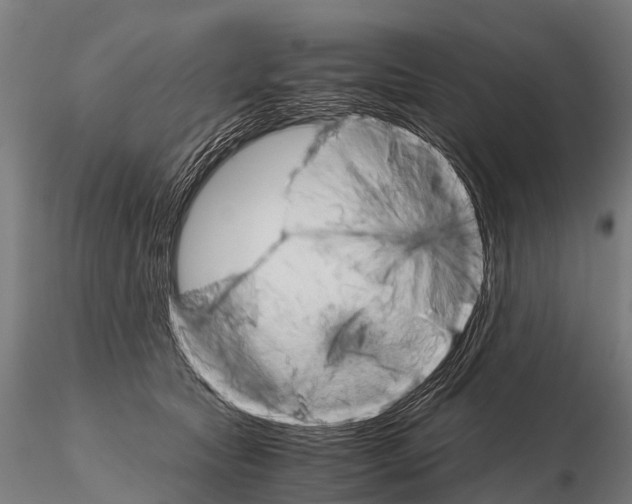 X0000115210561200912091200