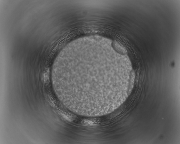 X0000115210563200912091200