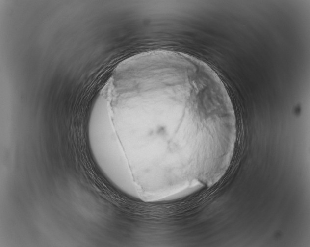 X0000115210565200912091200