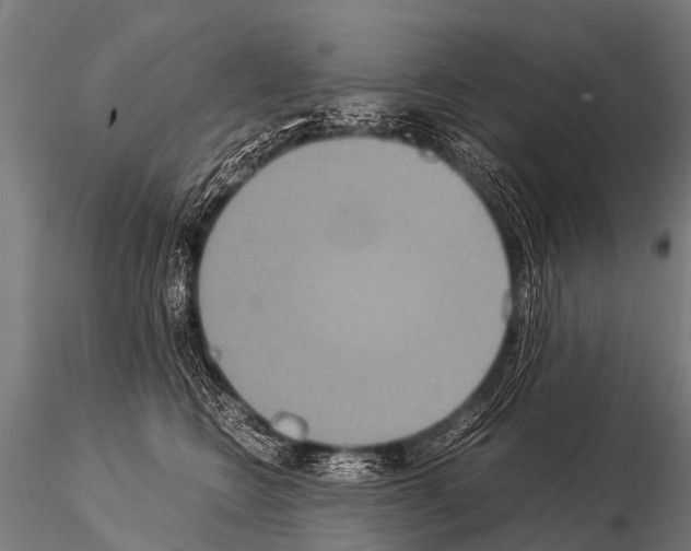 X0000115210566200912091200