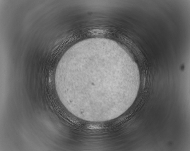 X0000115210567200912091200