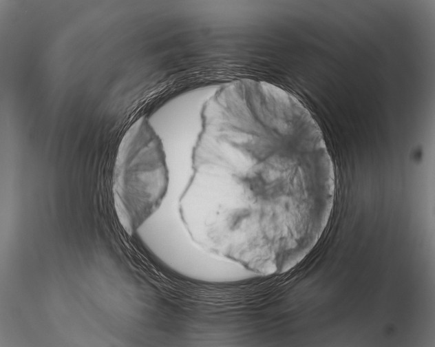 X0000115210569200912091200