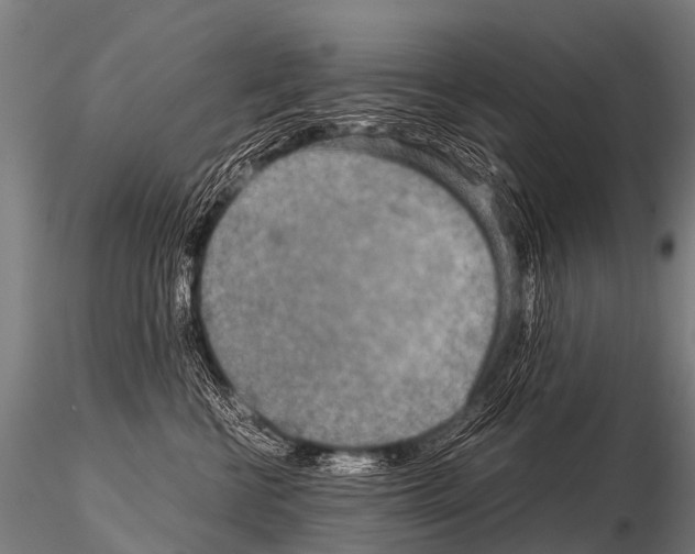 X0000115210570200912091200