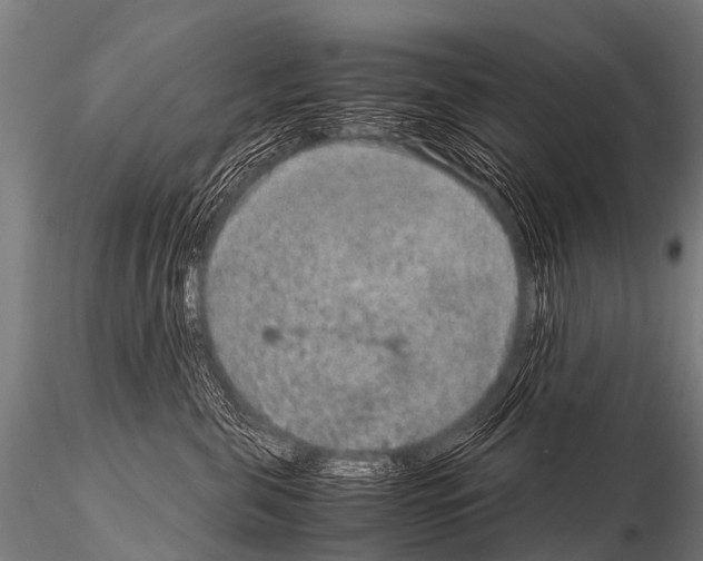 X0000115210571200912091200