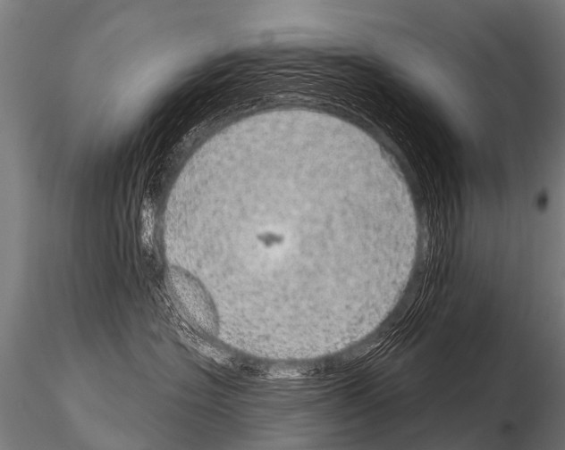 X0000115210574200912091200