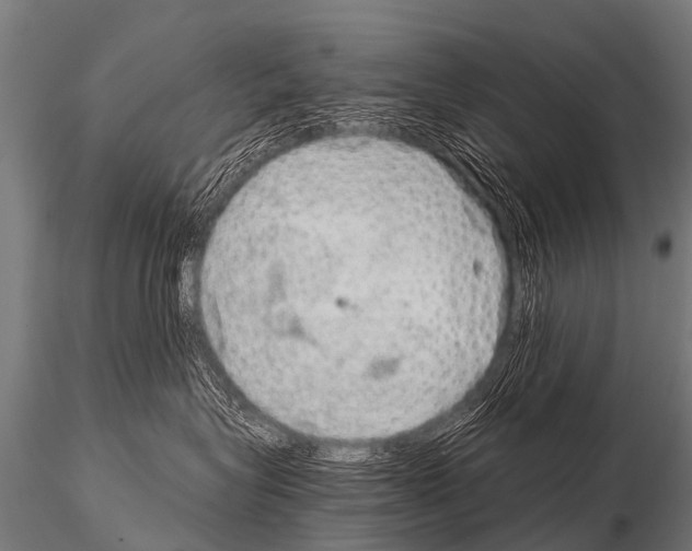 X0000115210575200912091200