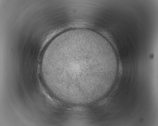 X0000115210578200912091200