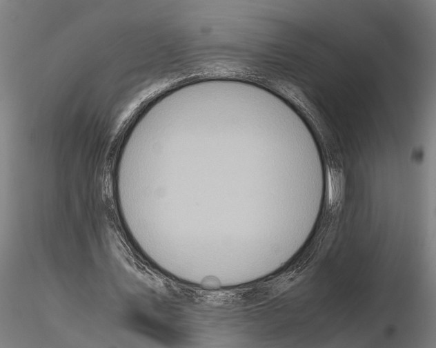 X0000115210579200912091200