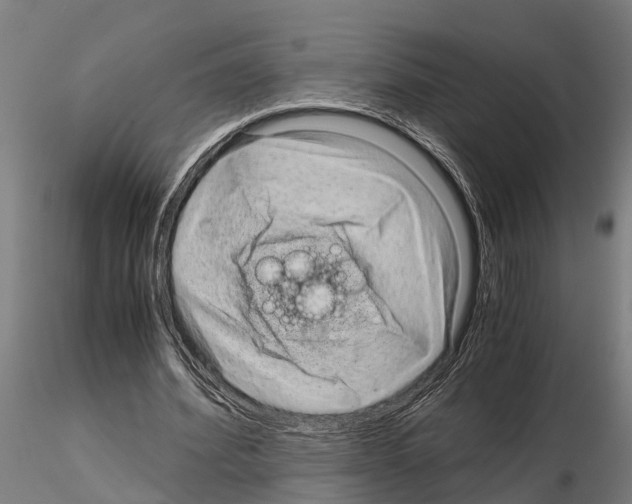 X0000115210580200912091200