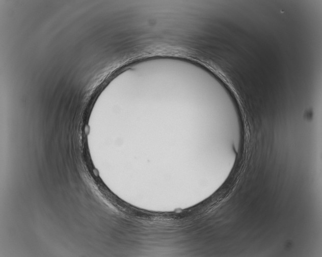 X0000115210581200912091200