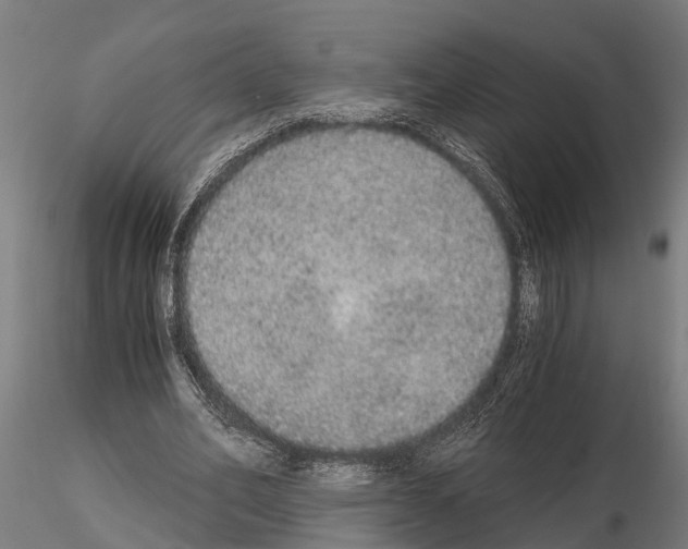 X0000115210582200912091159