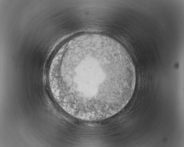 X0000115210584200912091159