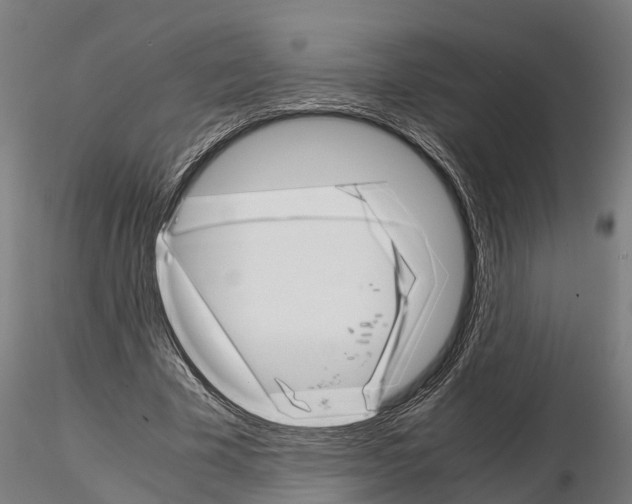 X0000115210585200912091159