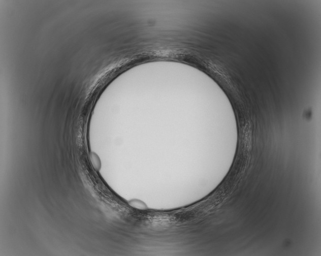 X0000115210587200912091159