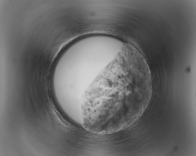 X0000115210588200912091159