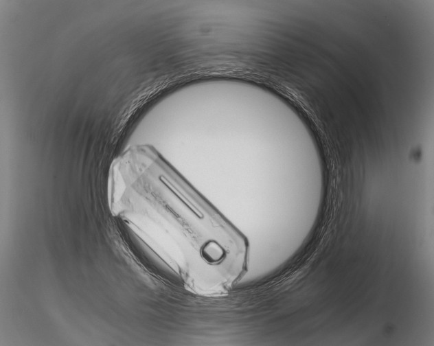 X0000115210589200912091159