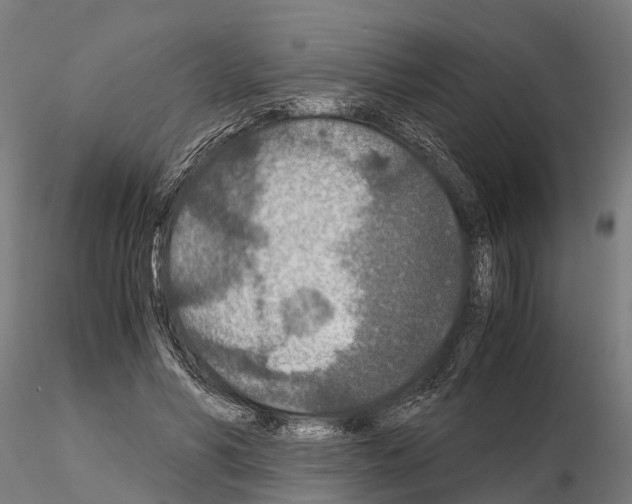 X0000115210590200912091159