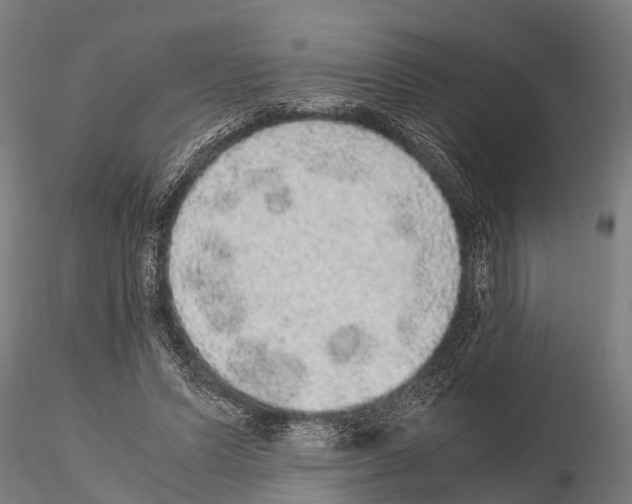 X0000115210591200912091159