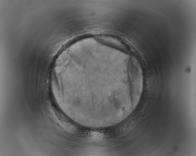 X0000115210592200912091159