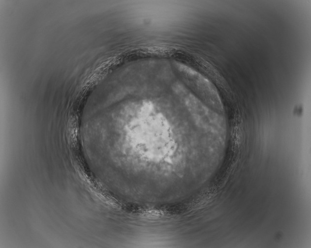 X0000115210593200912091159