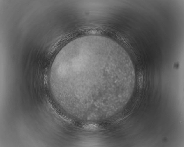 X0000115210594200912091159